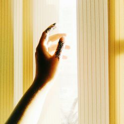 Close-up of hand