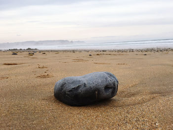 Pebbles on sand at beach against sky