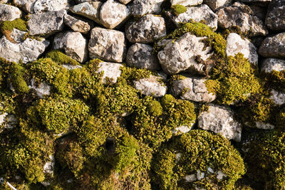 Close-up of rocks