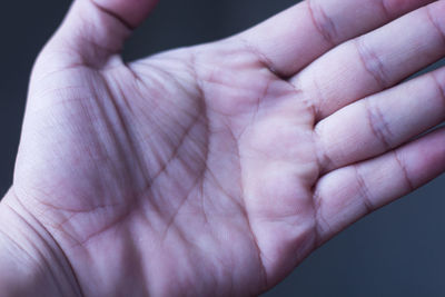 Close-up of human hand holding leaf