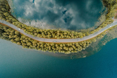 Aerial view of road and trees by sea