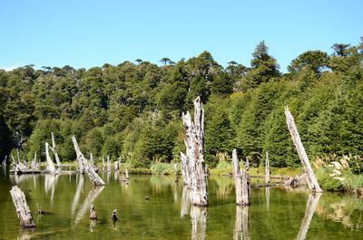 Scenic view of lake against clear sky