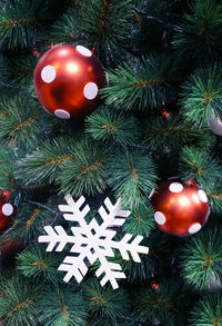 Close-up of christmas decoration hanging on tree