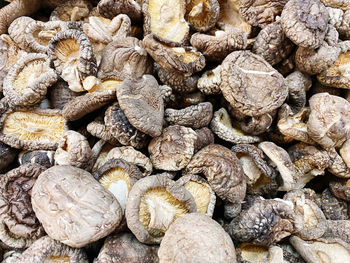 Full frame shot of walnuts