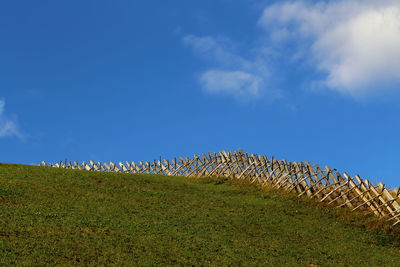 Surface level of grassy landscape against blue sky