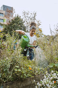 Mid adult female environmentalist watering plants in garden