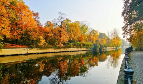 Scenic view of lake by trees during autumn