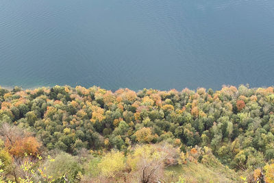 View of lake lucerne/vierwaldstättersee during the panorama trip at bürgenstock in autumn 