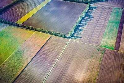 High angle view of agricultural field