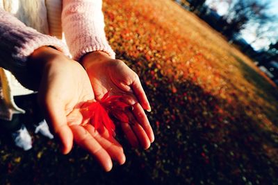 High angle view of woman holding maple leaf at park during autumn