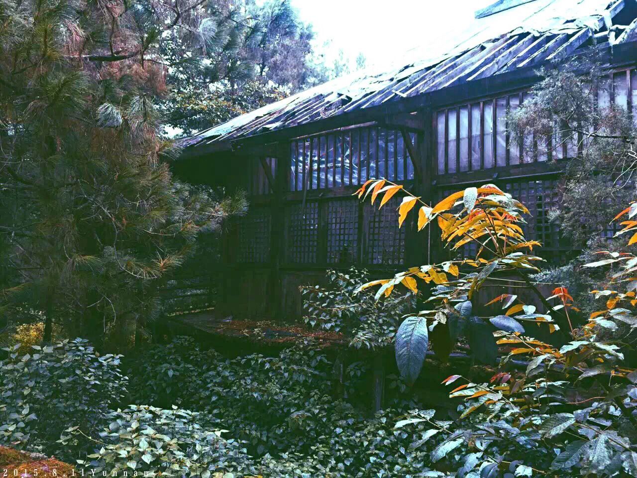 蘭若寺