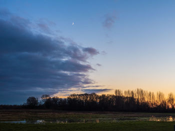 Silhouette trees on field against sky during sunset