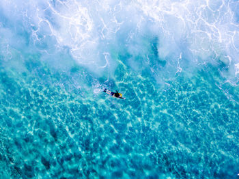 High angle view of person swimming in sea