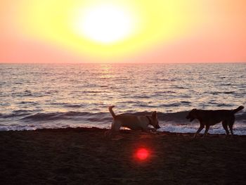 Sunset over sea