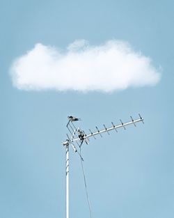 Low angle view of airshow against sky