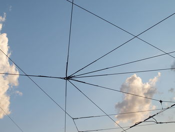 Low angle view of bird against clear sky