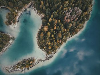 Aerial view of island