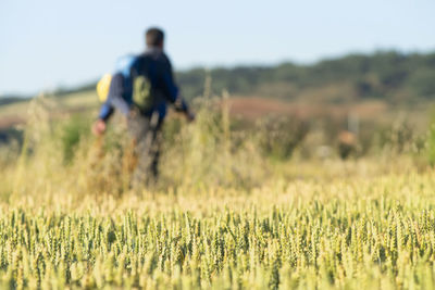 agriculture