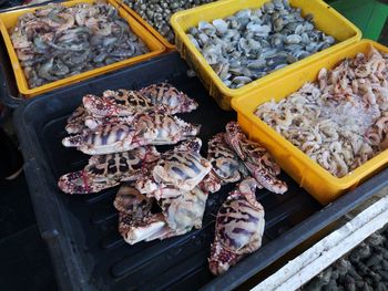 High angle view of seafood for sale at market