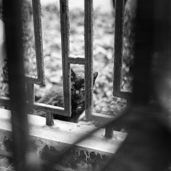 Close-up of metallic object