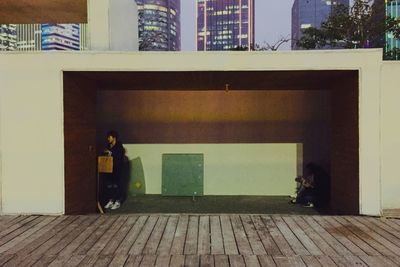 Cat looking at camera