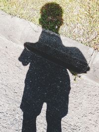 Shadow of person on field during sunny day