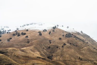 Scenic view of land against clear sky