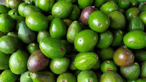 Full frame shot of apples