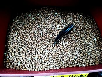 High angle view of crab in container