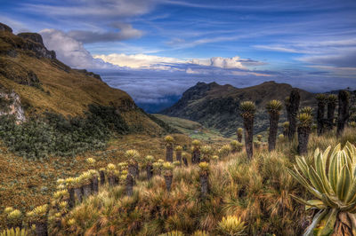 Scenic view of mountains against cloudy sky