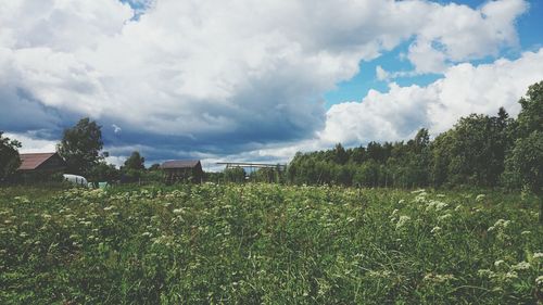 Scenic view of grassy field against cloudy sky