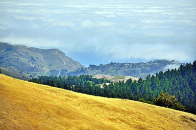 Landscape with mountain range in background