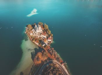 High angle view of turtle swimming in sea