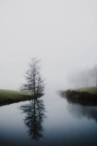 Reflection of trees in lake against sky