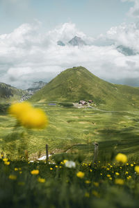 Scenic view of grassy field against sky