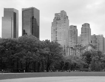 Trees and buildings against sky