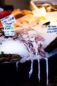 Close-up of food for sale