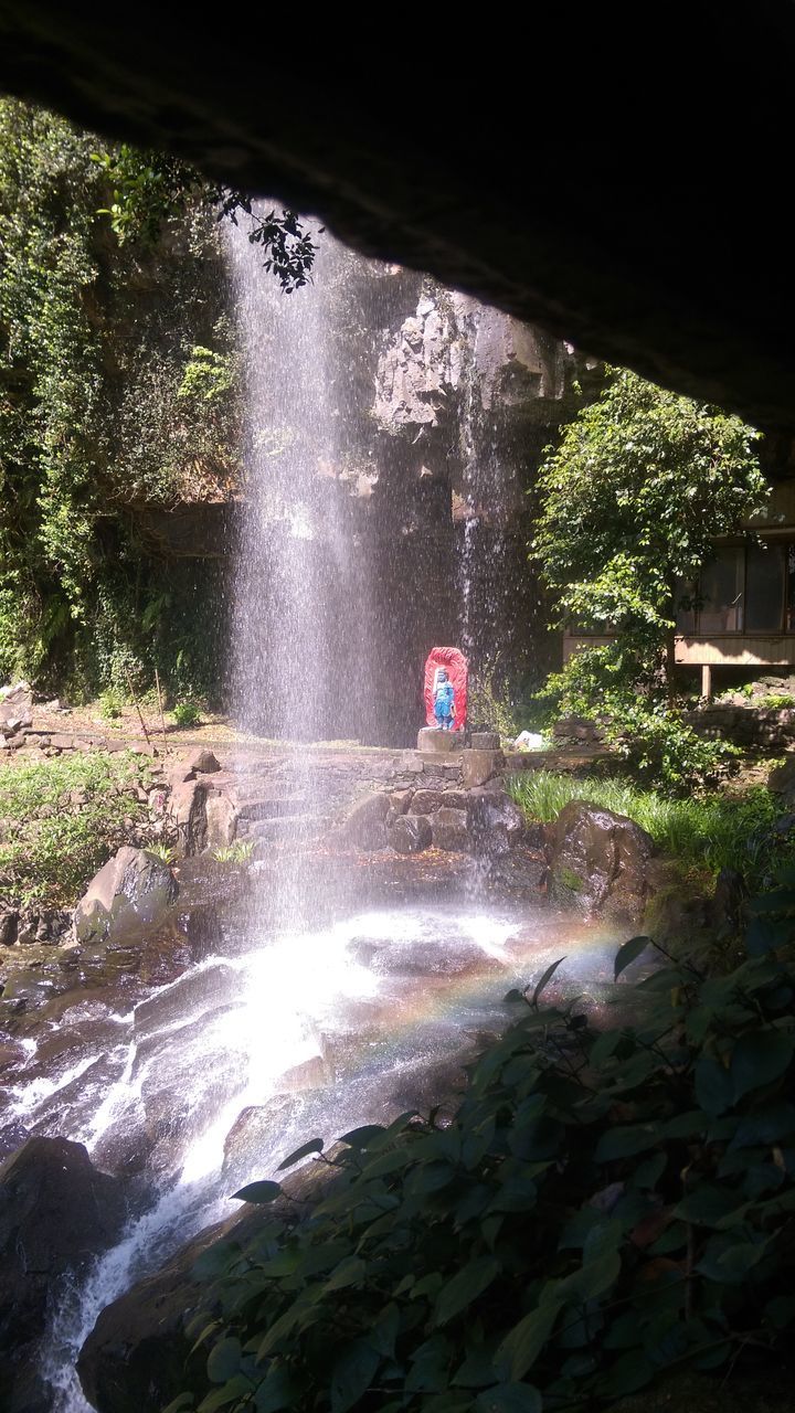 SCENIC VIEW OF WATERFALL AGAINST TREES