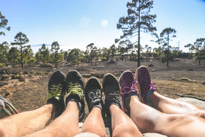 Low section of friends wearing shoes on land in forest