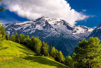 Scenic view of snowcapped mountains against sky