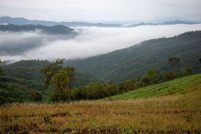 Scenic view of landscape against sky