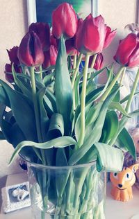 Close-up of flowers in vase