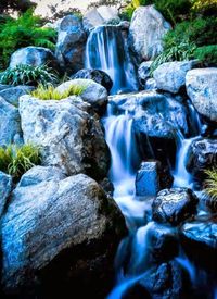 View of waterfall in forest