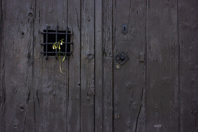 Full frame shot of old wooden door