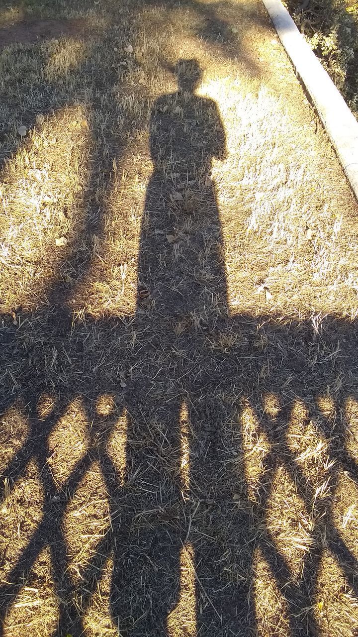 HIGH ANGLE VIEW OF SHADOW ON STREET