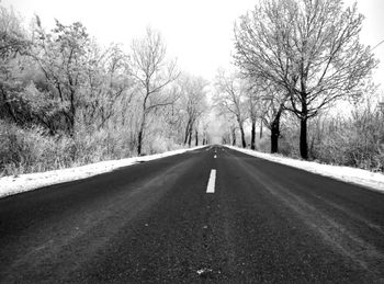 Road along bare trees in winter