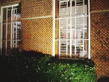 Plants growing in front of building