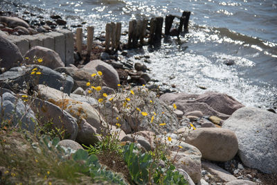 Rocks by beach