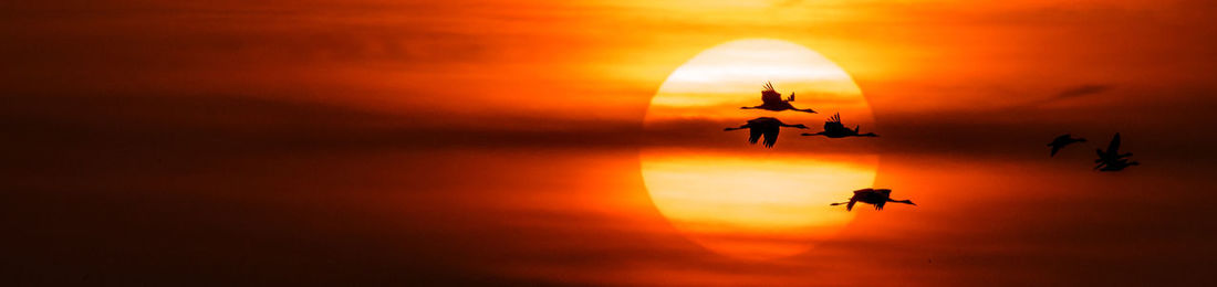 Silhouette people in the sky during sunset