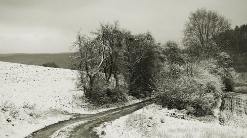 Scenic view of snow covered landscape